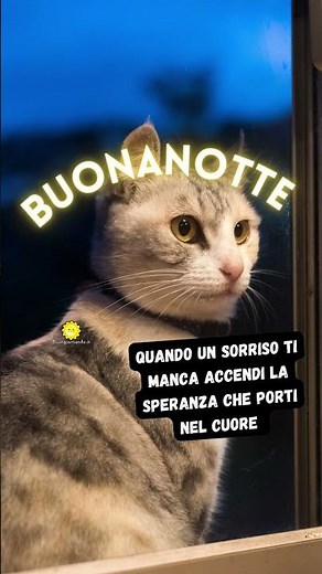 Immagini Buonanotte Nuove