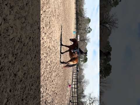 WDAA Intro Test 1, 2/28/26. Nicole Niedermeyer and Purple Haze.