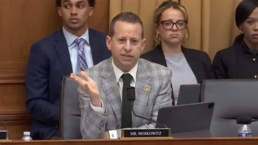 'Was it peaceful?': Jared Moskowitz puts smug witness in his place during heated exchange over January 6th in House hearing