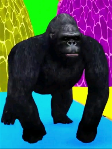 Funny 3D Animals in TikTok Game