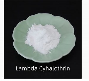 [Hot Item] Agrichemical Lambda-Cyhalothrin 8%  Alpha-Cypermethrin 5%Wp Use for Pesticide