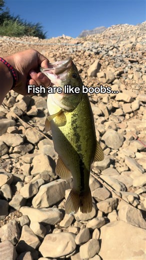 Fishing Fun: Bass and Bluegill Adventures