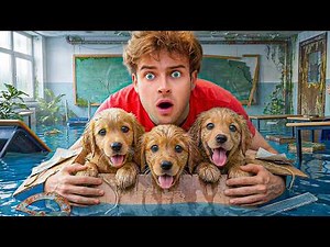 I Saved 10 Lost Puppies at School!