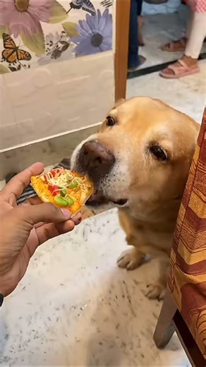 LEO IN NO MORE 😭😭😭😭😭😭😭😭😭😭❤️‍🩹❤️‍🩹❤️‍🩹❤️‍🩹❤️‍🩹❤️‍🩹❤️‍🩹❤️‍🩹❤️‍🩹❤️‍🩹❤️‍🩹❤️‍🩹❤️‍🩹❤️‍🩹😭😭