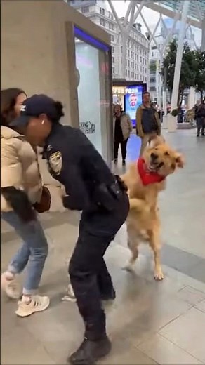 What's going on with the girl with the New York police? #NYCPrank #Parnk #usaprank