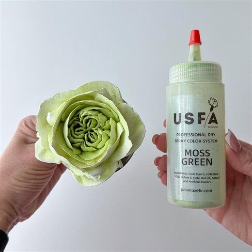 Moss Green Dry Spray Color System – Airbrush Alternative for Piped Flowers - Etsy