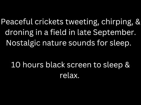 Relaxing tweeting, chirping, & droning crickets, black screen sleep relax 10 hour cricket sound