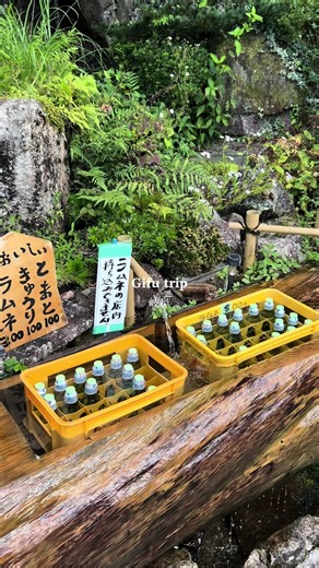 岐阜旅行の思い出と観光スポット