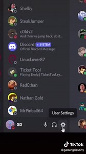 How to fix the annoying Discord Gif crash bug #discord #bug #discordbug #viral #fyp