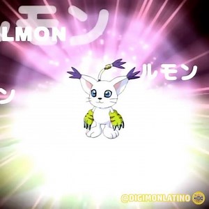 2.4K views · 65 reactions | Evolución Gatomon  Más contenido en www.instagram.com/digimonlatino  | Digimon Latino | Facebook