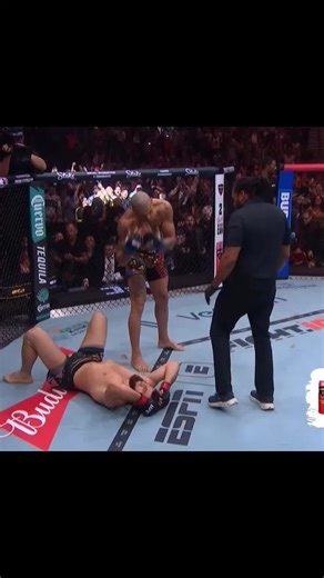 Alex Pereira vs Magomed Ankalaev 2: Championship Showdown