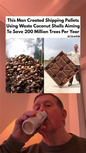 This Man Created Shipping Pallets Using Waste Coconut Shells Aiming To Save 200 Million Trees.