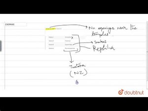 Anapsid skullis found in | 12 | REPTILIA-CREEPING VERTEBRATES | BIOLOGY | DINESH PUBLICATION | ...