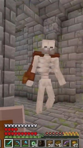 Mutant Skeleton #levelz #moddedminecraft #letsplay #minecraftshorts