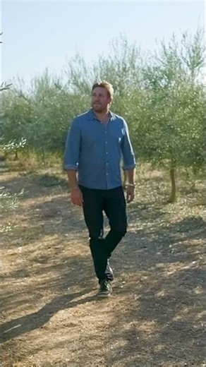 Brand Snapshot: Curtis Stone | QVC+ HSN+