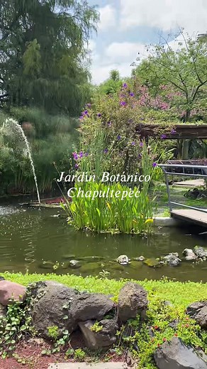 Visita el Jardín Botánico Chapultepec en CDMX