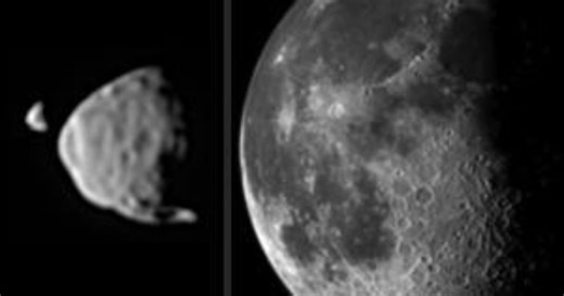 Earth’s quasi-moons, minimoons, and ghost moons