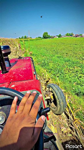 Cheema Agri Farm: Jutt Life Farming Success Story