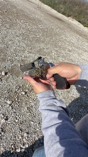 Colt Python .357/38SPL Revolver #fyp #revolver38 #guncollection #trending #pewgun #pewpew