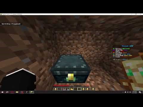 NEWEST DonutSMP (UNPATCHED) Dupe Method