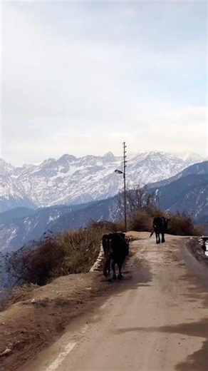 Uttarakhand || Raithal Village ||