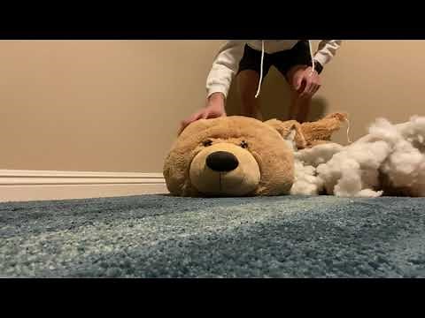 Jumbo Teddy Bear Trampled, Crushed and Destroyed by College Feet