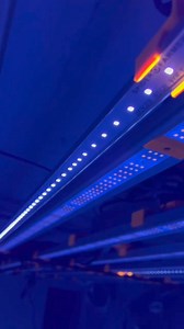 2.1K views · 33 reactions | Boost Your Grow with Spider Farmer...