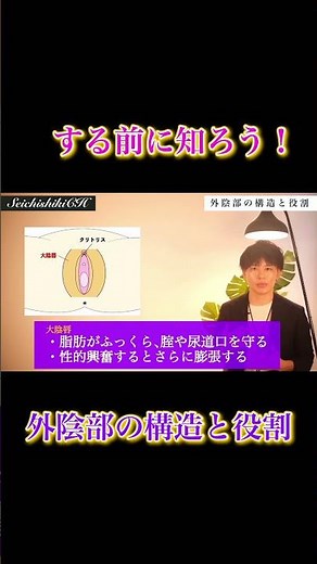 女性器(外陰部)の構造と役割をまとめました！
