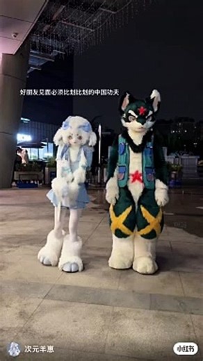 You Have to See This Teddy Girl's Epic Dance Battle!