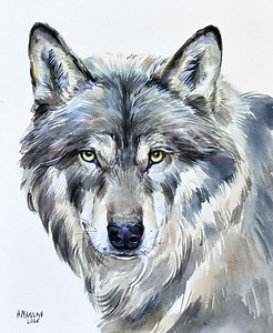 Wolf Portrait Original Watercolor Painting, Nature Art, Wildlife Animal Art, Hand-painted Wall Decor, Unique Gift for Animal Lover - Etsy Australia