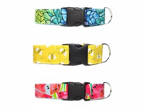 Buckle Martingale Dog Collar 1.5 Inch, 2 Inch Martingale Collar With Buckle - Etsy