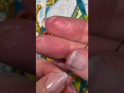 Ribbon Roses on Needlepoint