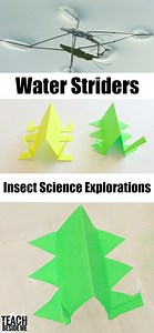 Water Strider Science Experiment – Insect STEM Activity for Kids