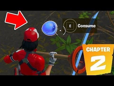 Consume Foraged Items locations Fortnite Season 11