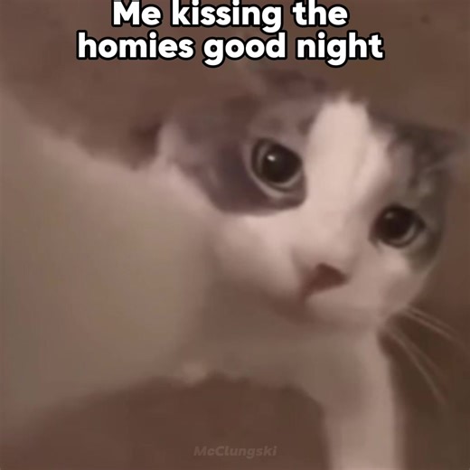 Bromance: Homies Kissing Goodnight Memes