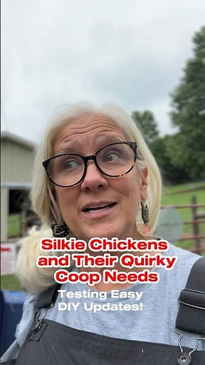 Silkie Chickens and their Quirky Coop Needs: How we adapted! #chickencare #silkiechicken