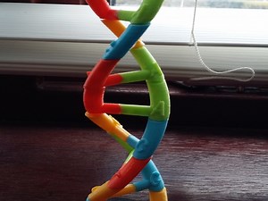 DNA Model Kit #3DPrinting #3DThursday
