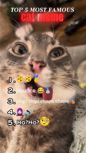 top 5 most famous memes with cat 😂 #funny #memes #comedy #iconicmemes #comedy #meme #ranking #funnyt