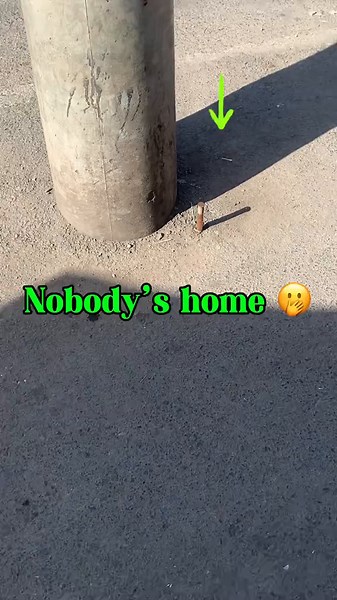 Earthing is very important in electrical installations. @kenyapower do...