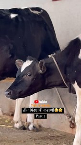 1.5M views · 50K reactions | तीन पिढ्यांची कहाणी Part 2 藍#comedy #thisissandyvlogs #reels #top #viral #marathi #reelsinstagram #best #youtuber #youtube | Sandip Salunke | Facebook