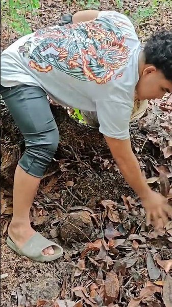 Primitive Foraging: Uncovering Hundreds of Grubs Hiding in the Forest! 🪵🐛