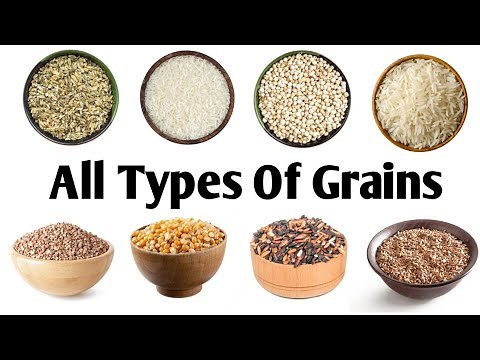 All Types Of Grains| Different Types Of Grains With Pictures And Names In English|Grains Vocabulary