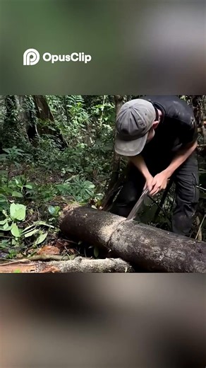 Building a Secret Forest Treehouse: Ultimate Survival Hack! #highlightseveryone #viralreelsシ #naturelovers #foryouシ | Reneboy vlog