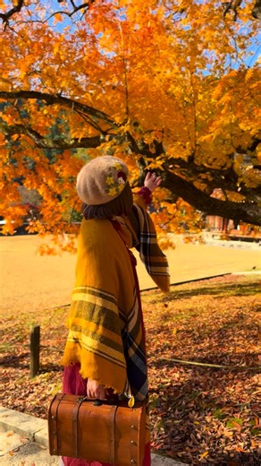 𖡼.𖤣𖥧 aco 𖥧𖥧𖧧 on Instagram: "🍁🏫🍂 岡山県にたたずむ旧閑谷学校𓂃𓈒𓏸𑁍 江戸時代に庶民が学べる場として開かれた 日本最古の“公立学校”のひとつで 講堂は国宝に指定されています🏫 静かな山あいに佇む講堂や石塀 楷の大木が四季ごとに美しく表情を変え 心に凛とした学びの空気を届けてくれます🍁 歴史の息づく景色の中で 心が整うような時間でした☺️ Specisl thanks to @ae.gis.am 素敵なフォロワーさん💓 あいぎすさんの楽曲を使わせていただきました🎤 *·̩͙ ☽︎‪︎.*·̩͙☽︎‪︎.*·̩͙*·̩͙☽︎‪︎.*·̩͙☽︎‪︎.*·̩͙☽︎‪︎ⓘⓝⓕⓞ☽︎‪︎.*·̩͙☽︎‪︎.*·̩͙☽︎‪︎.*·̩͙☽︎‪︎.*·̩͙☽︎‪︎.*·̩͙ ̩͙☽︎‪︎. 🏫旧閑谷学校 🕊 My other posts+❥❥❥@aconowa358 🌏aco_okayama 𖥧 𖥧 𖧧 ˒˒𖡼.𖤣𖥧 ⠜ 𖥧𖥧 𖧧˒˒. ⓣⓗⓐⓝⓚ ⓨⓞⓤ 𖥧𖥧 𖥧𖥧𖧧 Shizutani School i