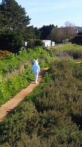 42K views · 239 reactions |  Easter Egg Hunt  . The Easter bunny...