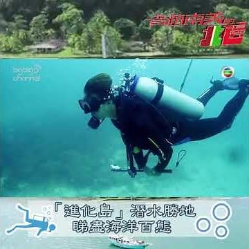 背遊南美的北邊｜「進化島」潛水勝地 睇盡海洋百態｜梁彥宗｜動物｜加拉拍哥斯群島