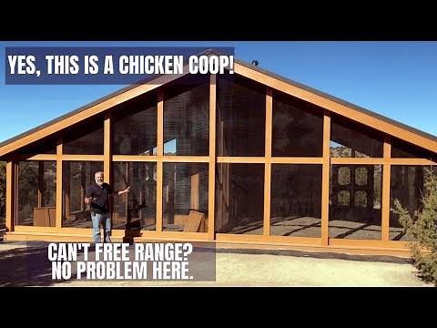 See Our Largest Chicken Coop | Can't Free Range? No Problem, This Coop Has it All