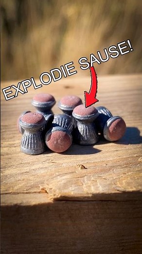 Semi-Auto & EXPLODING AMMO 🤌