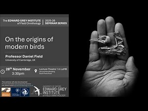 Daniel Field- On the origins of modern birds