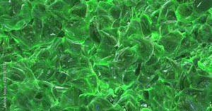 Motion graphics of object, Green object and the fluid form